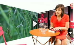 Capture d'écran de l'émission de «Télé Matin» du 8 août 2012, sur France 2.