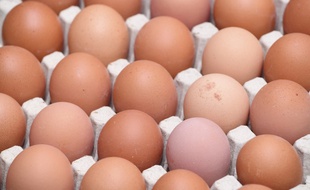 Des œufs de la marque Les Poulettes ont été retirés de la vente et doivent être rapportés au magasin (image d'illustration).
