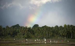 Un arc en ciel à Banda Aceh (Indonésie) le 28 novembre 2014 2014