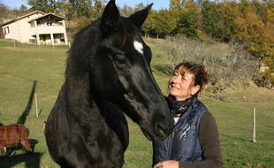Danielle, cavalière professionnelle, a retrouvé son cheval Kondor, qu'elle avait perdu de vue depuis sept ans.