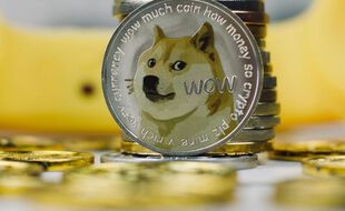 Le dogecoin continue d’exploser et grimpe de 10.000% en 4 mois