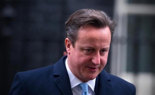 Le Premier ministre britannique David Cameron le 22 janvier 2014 à Londres