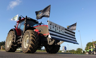 Les agriculteurs veulent protester contre les prix trop bas pratiqués qui ne leur permettent pas de vivre.