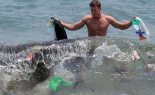 Des micro-fragments de plastique pollueraient jusqu'à 88% de la surface des océans et affecteraient aussi la chaîne alimentaire marine