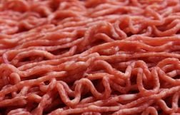 Attention, cette viande hachée est contaminée à la bactérie E. coli