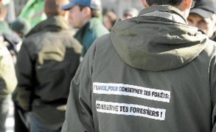 Les ouvriers forestiers étaient 8 100 en 1985, contre 3 100 aujourd'hui.