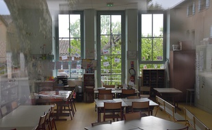 L'arbre tombé vu d'une salle de classe de l'école de Bessens.