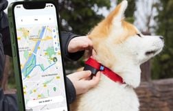 Un tracker GPS pour tenir la santé des chiens en laisse