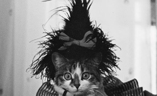 « Le Joli Mai» de Chris Marker et Pierre Lhomme.