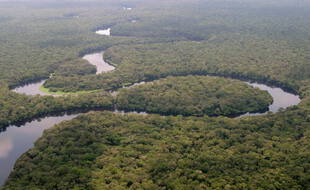 Le parc national de la Salonga, en République démocratique du Congo.