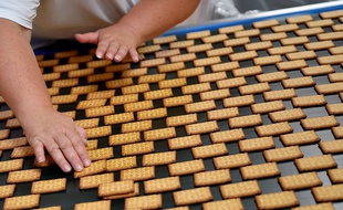 Un plateau de biscuits. (illustration)