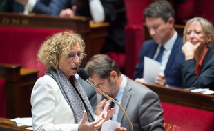 la ministre du Travail, Muriel Pénicaud, à l'Assemblée nationale.