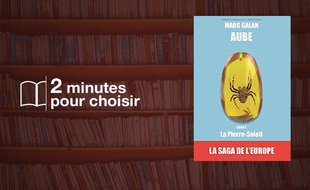 AUBE, la Saga de l'Europe Livre I: La Pierre-Soleil