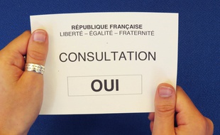 Les électeurs de Loire-Atlantique ont dit «oui» au projet d'aéroport de Notre-Dame-des-Landes.