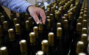 Illustration bouteilles de vin