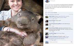 Quel veinard Patrick le wombat!