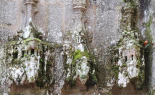 Moutier-d'Ahun (Creuse) ; granits sculptés au XVe siècle, ancien peuplement de lichens et de mousses