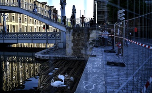 Les cygnes du canal de l’Ourcq (19e arrondissement)