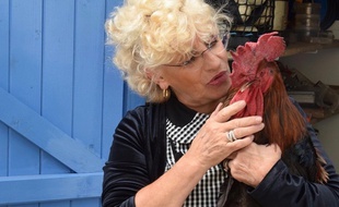 Corinne Fesseau, une habitante de l'Ile d'Oléron, comparaît devant le tribunal à cause du chant de son coq.