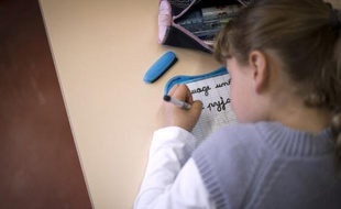 L'aide personnalisée (AP) créée en 2009 dans les écoles maternelles et élémentaires est inefficace à résoudre les difficultés scolaires, selon une enquête du SNUipp-FSU, principal syndicat du primaire, qui appelle le ministre, Vincent Peillon, à "totalement la repenser".