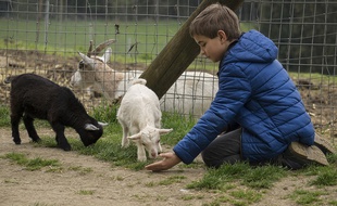 Et si vous profitiez das vacances pour emmener vos enfants à la ferme?