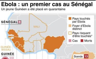 Carte localisant les pays touchés ou menacés par Ebola, nombre de cas et décès