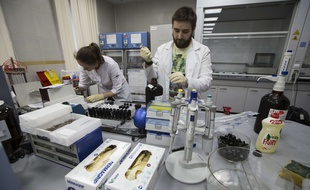 Un laboratoire de l'agence anti-dopage russe (photo d'illustration).