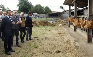 Nicolas Sarkozy le 9 juin 2011 lors d'une visite aux agriculteurs en Charente.