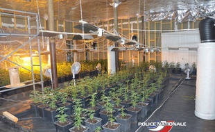 Le hangar où les plants de cannabis ont été trouvés se situe à Tourcoing
