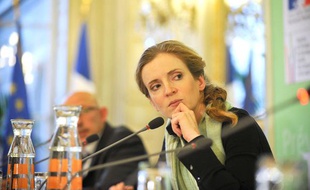 Nathalie Kosciusko-Morizet, ministre de l'Ecologie, le 27 janvier 2011.