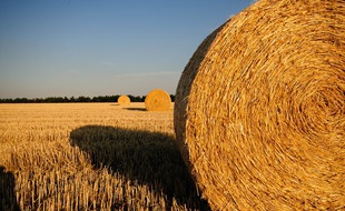 Les deux nouveaux collèges du Loiret ont été construits à base de matériaux biosourcés, et notamment avec des ballots de paille. Photo d'illustration.
