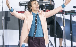 Le chanteur Harry Styles