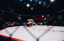 Diffusion Gane - Aspinall : horaire, chaîne, tout savoir sur le combat