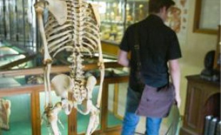 Le musée d'anatomie propose une soirée squelette.