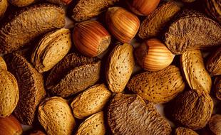 Consommer quotidiennement des « fruits à coque » pourrait s’avérer bénéfique pour la santé