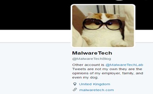 Un chat avec des grosses lunettes. Tel est l'avatar choisi par Malwaretech sur Twitter.