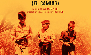 Affiche du film Le chemin