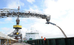 Le port de Nantes Saint-Nazaire espère, notamment, développer le trafic céréalier