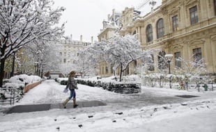 Lyon a été très touchée hier par les chutes de neige et les températures basses.