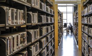 Une bibliothèque (illustration)