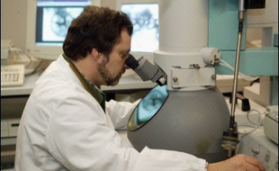 Les recherches sur les maladies orphelines intéressent peu les laboratoires, car elles concernent peu de patients selon l'association VML