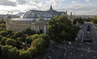 Vue du Grand Palais à Paris.