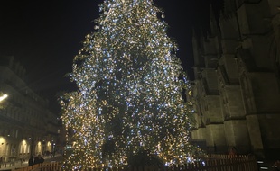 Le traditionnel arbre de Noël de la place Pey-Berland à Bordeaux