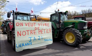 Manifestation de la federation regionale FNSEA et des Jeunes Agriculteurs de Bourgogne-Franche-Comte le 6 avril 2021.