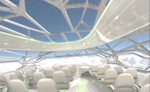 Capture d'écran d'une vidéo diffusée par le Daily Telegraph montrant l'intérieur d'un avion transparent d'Airbus.