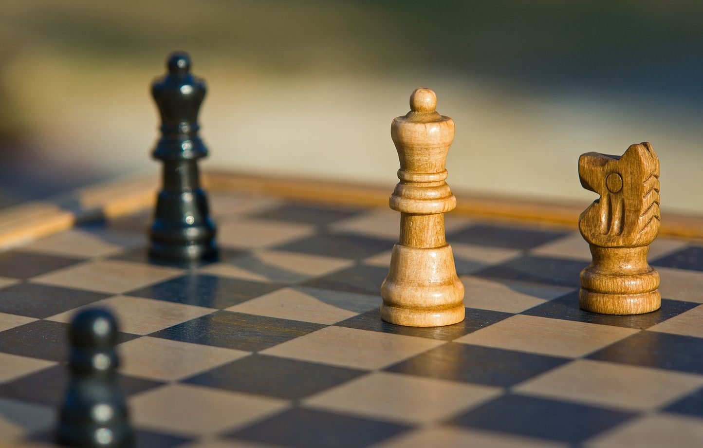 A 14 ans, cet adolescent corse devient le plus jeune Grand Maître International de l'histoire des échecs en France