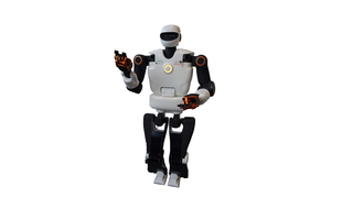 PYRENE, un robot humanoïde nouvelle génération conçu pour le LAAS-CNRS par l'entreprise espagnole PAL.