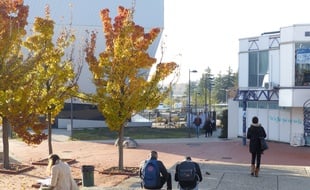 24/11/2017. Illustration à l'université Lumière Lyon II sur le campus de Bron