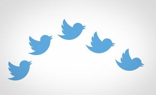 Le logo de Twitter.