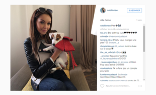 Pita, le nouveau petit chien de Nabilla.
